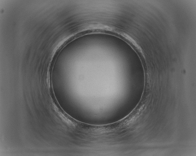 X0000073760791200608171355