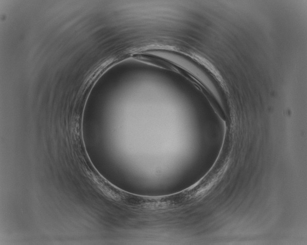 X0000073760793200608171355