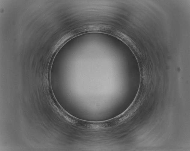 X0000073760794200608171355