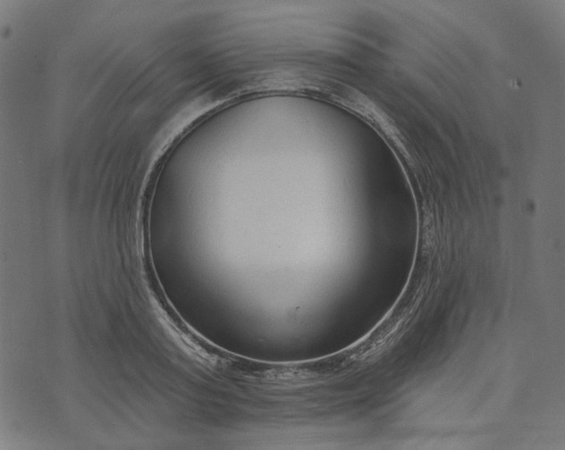 X0000073760795200608171355