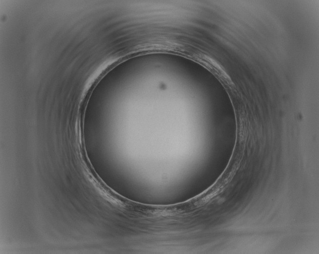 X0000073760796200608171355