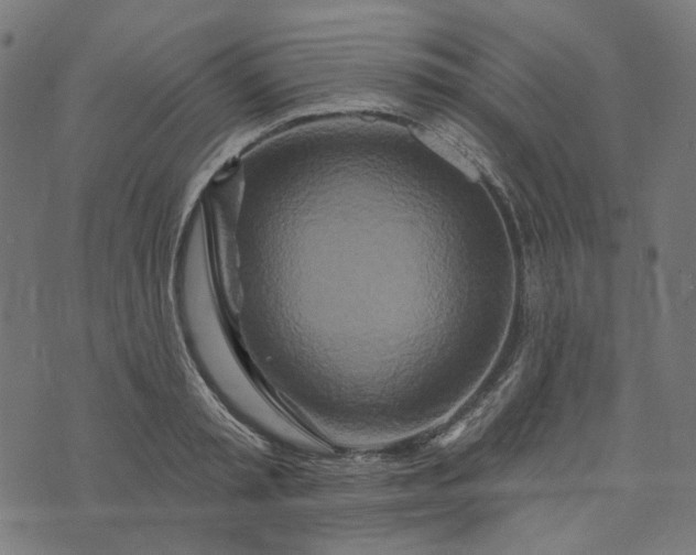 X0000073760797200608171355