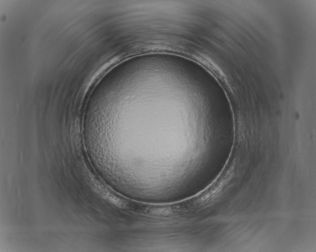 X0000073760798200608171355