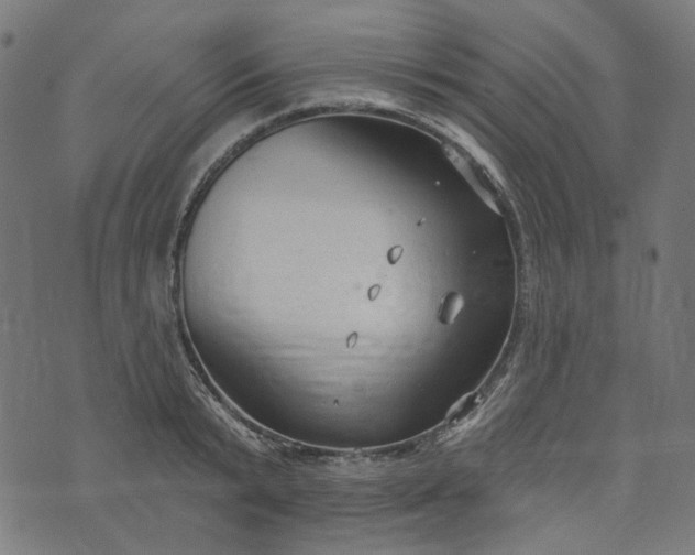 X0000073760799200608171355