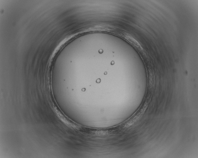 X0000073760800200608171355