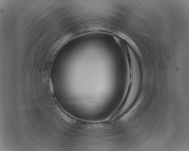 X0000073760801200608171355