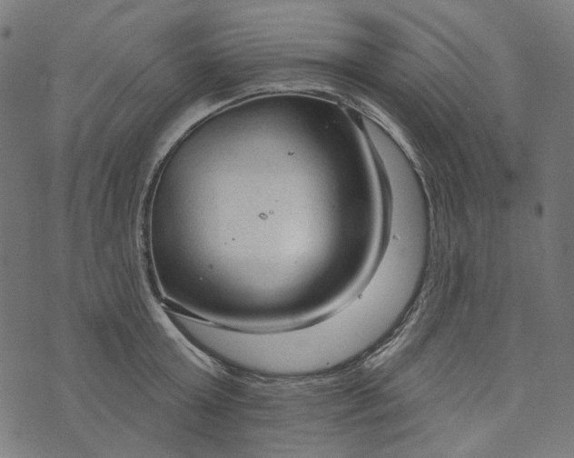 X0000073760803200608171355