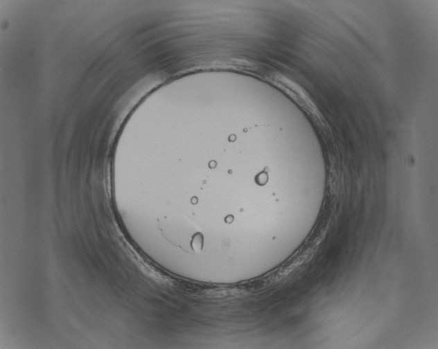 X0000073760804200608171355