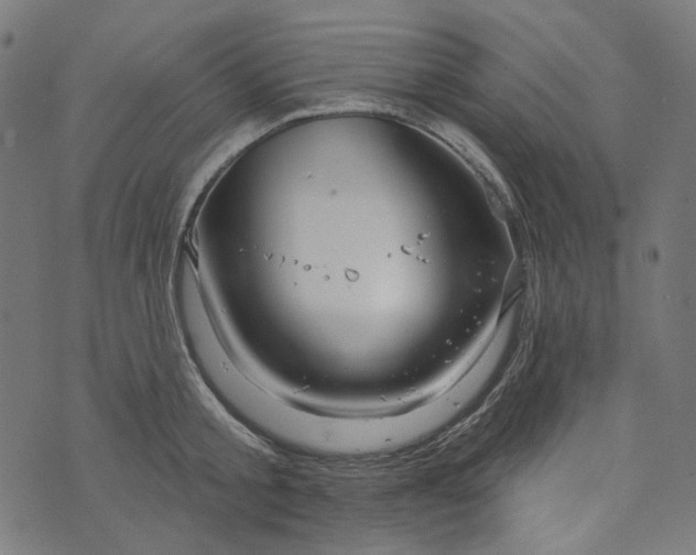 X0000073760805200608171355