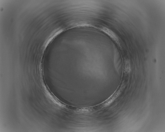 X0000073760806200608171355