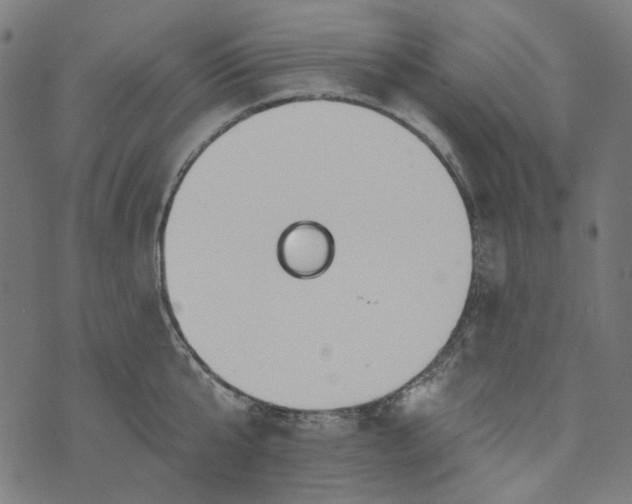 X0000073760807200608171355