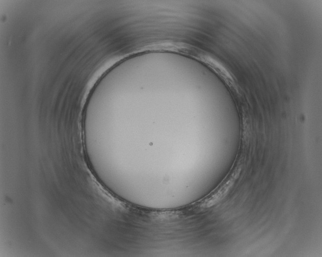 X0000073760808200608171355