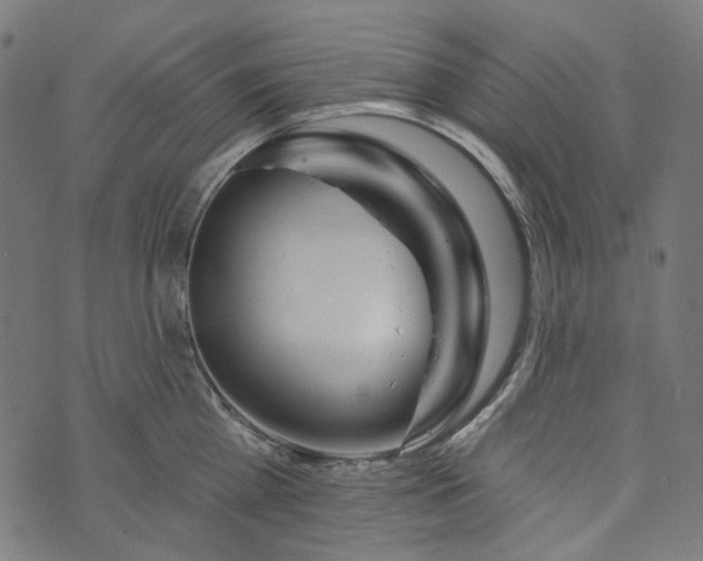 X0000073760809200608171355