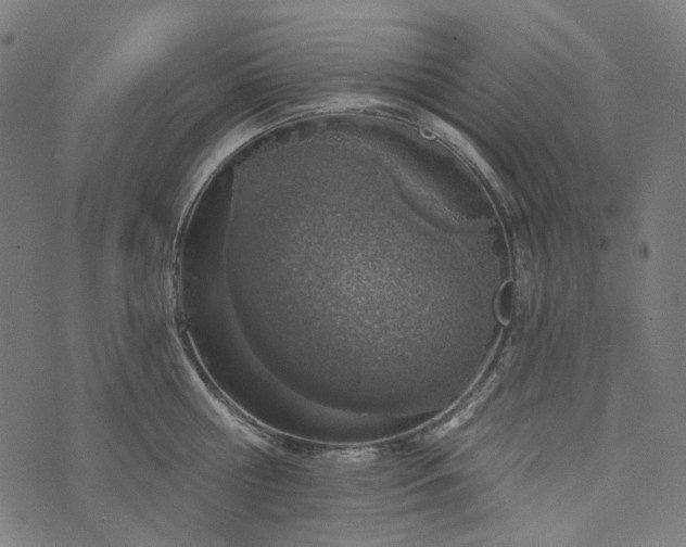 X0000073760810200608171355