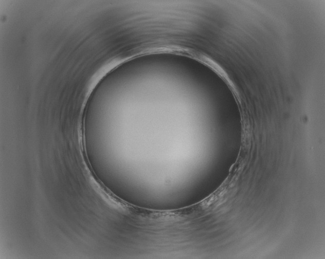 X0000073760811200608171355