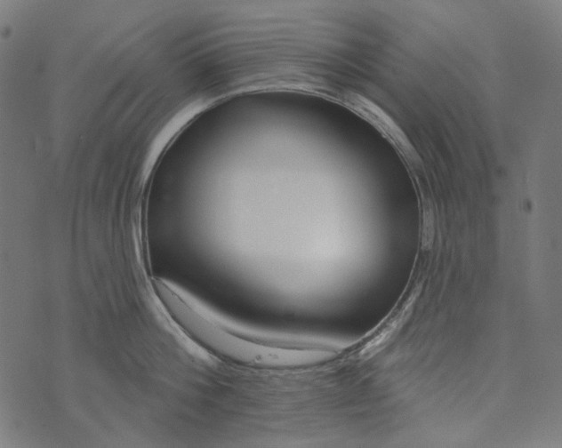 X0000073760812200608171355