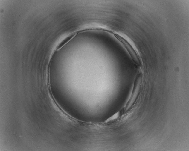 X0000073760815200608171355