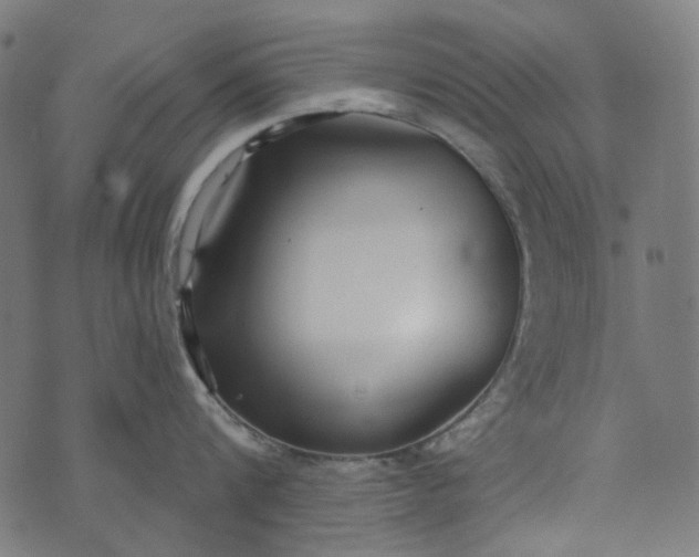 X0000073760816200608171355