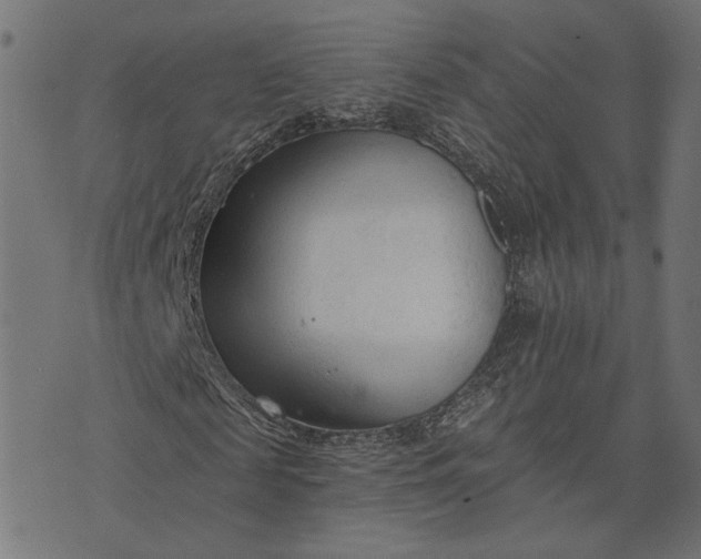 X0000073760817200608171354