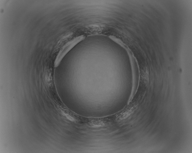 X0000073760818200608171354