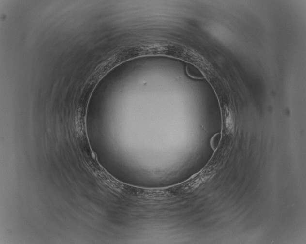 X0000073760819200608171354