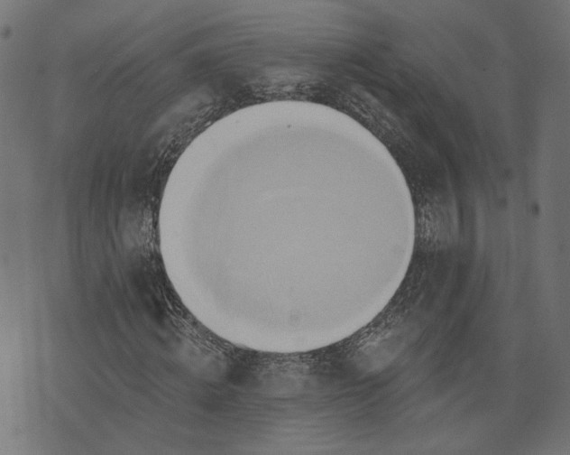 X0000073760820200608171354