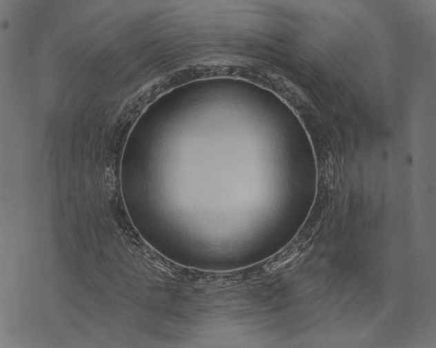 X0000073760821200608171354