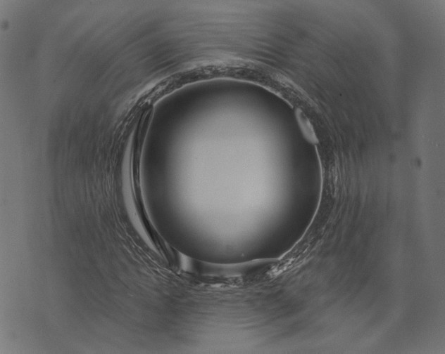 X0000073760822200608171354