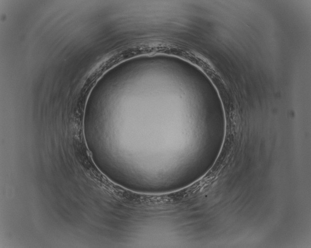 X0000073760823200608171354