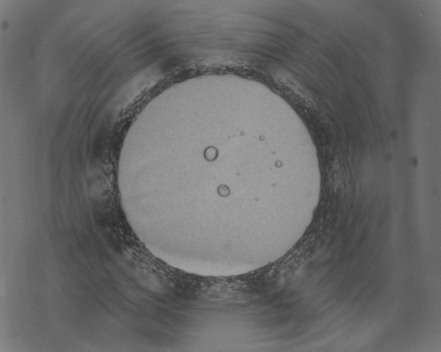 X0000073760824200608171354