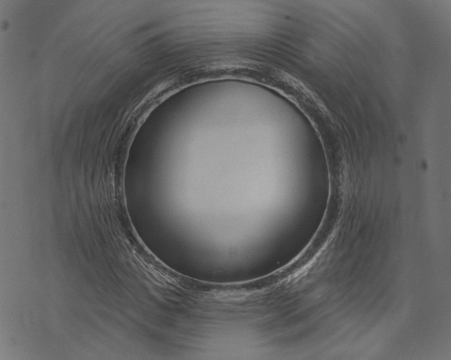 X0000073760825200608171354