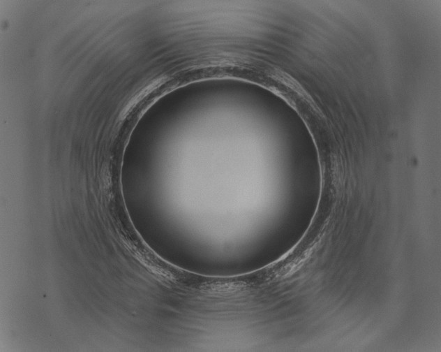 X0000073760826200608171354