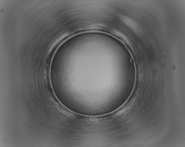 X0000073760827200608171354