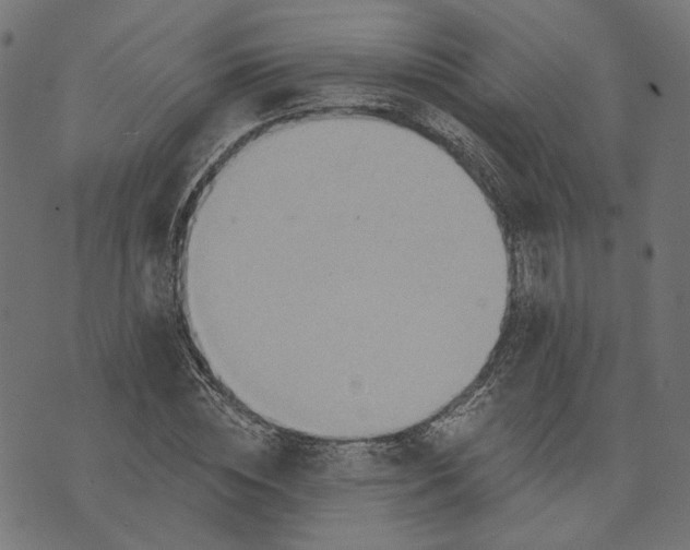 X0000073760828200608171354