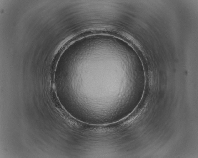 X0000073760829200608171354