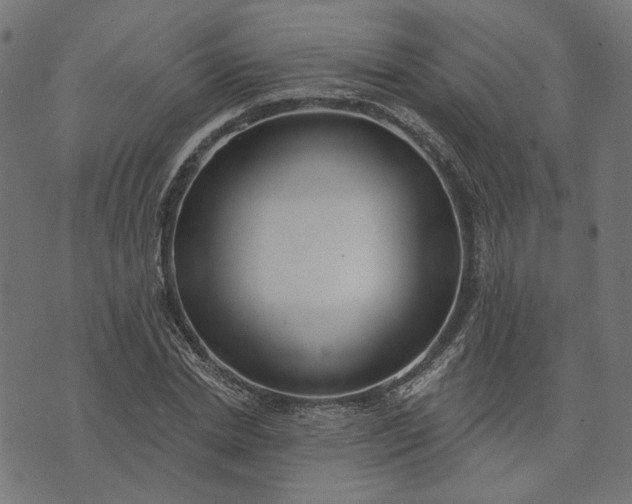 X0000073760830200608171354