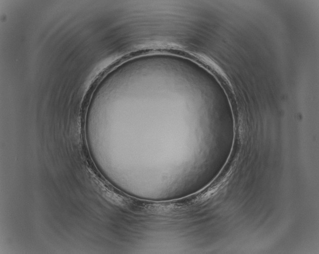 X0000073760831200608171354