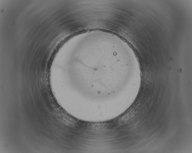 X0000073760832200608171354