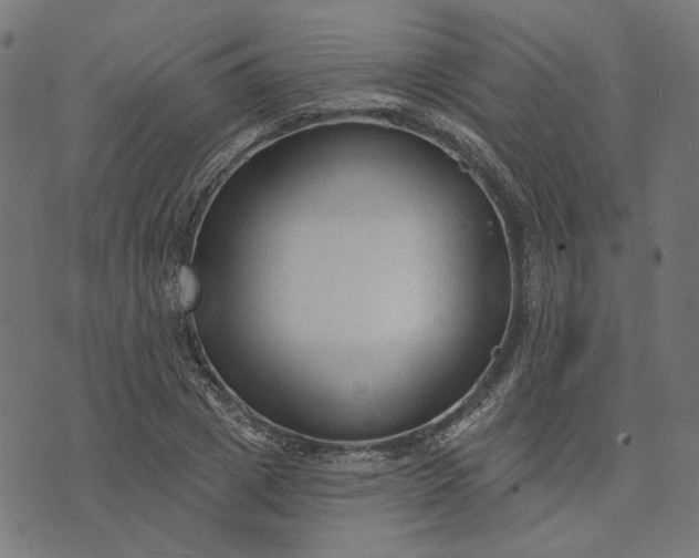 X0000073760833200608171354