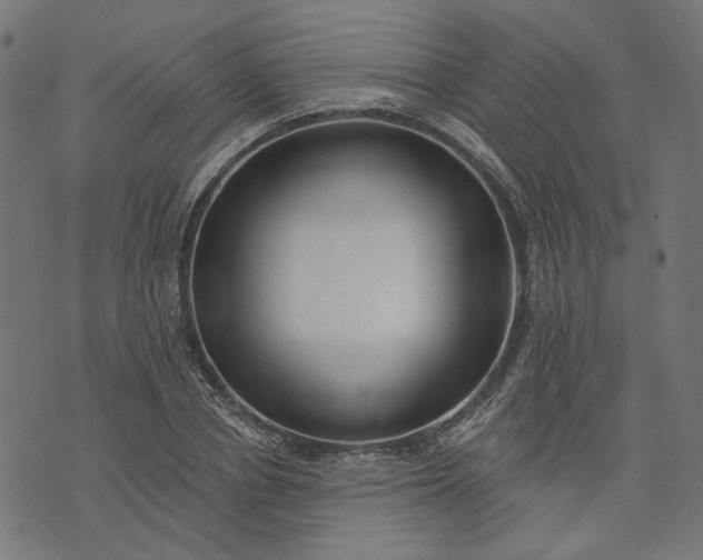 X0000073760834200608171354