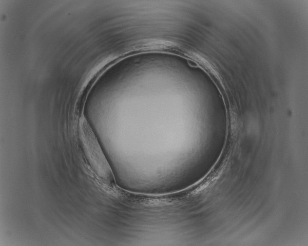 X0000073760835200608171354