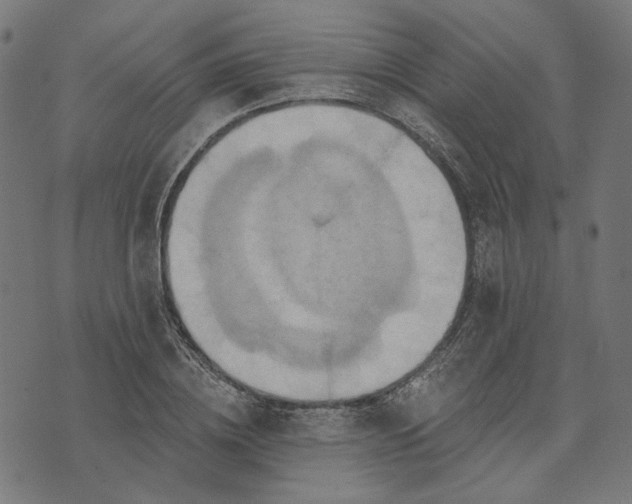 X0000073760836200608171354