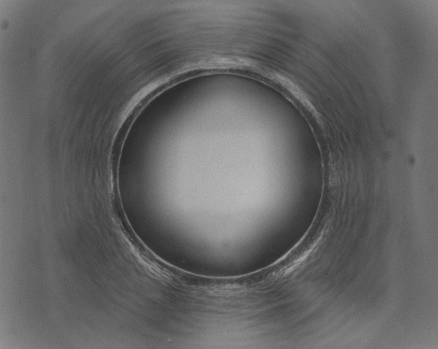 X0000073760837200608171354