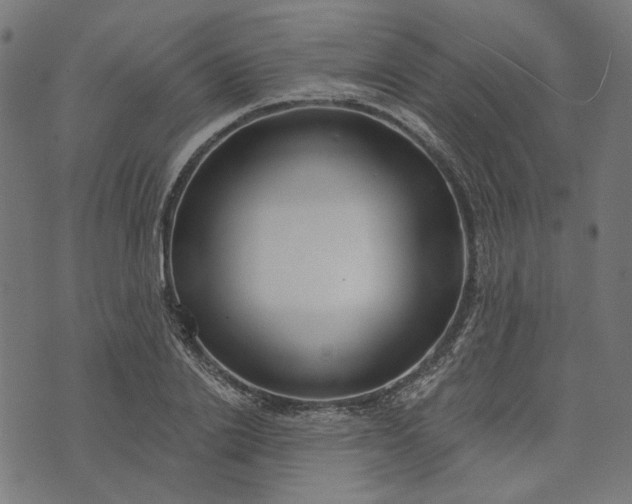 X0000073760838200608171354