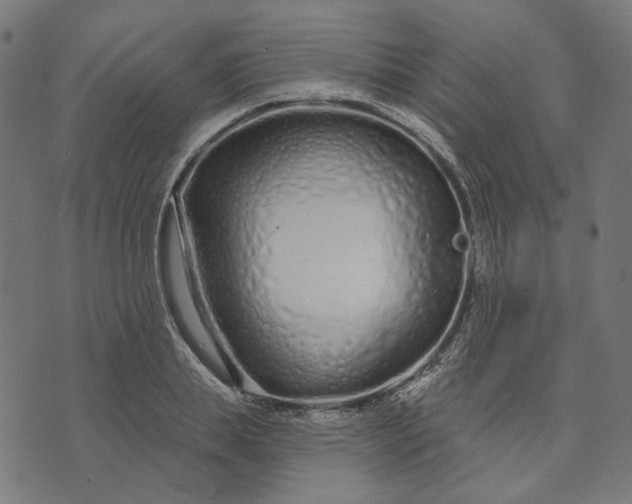 X0000073760839200608171354