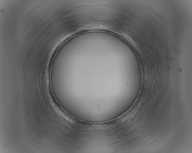 X0000073760840200608171354