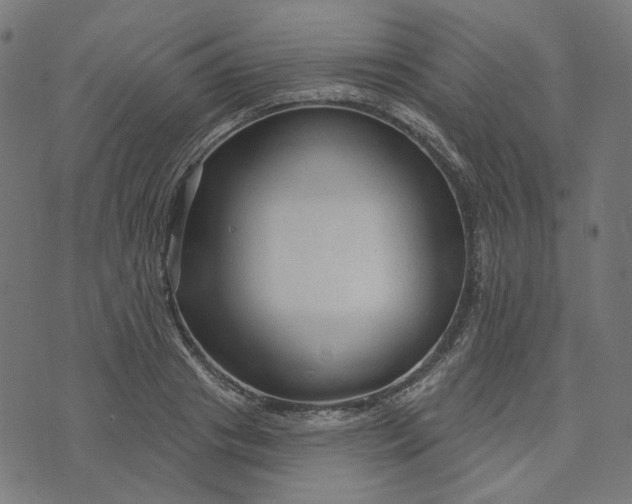 X0000073760841200608171354