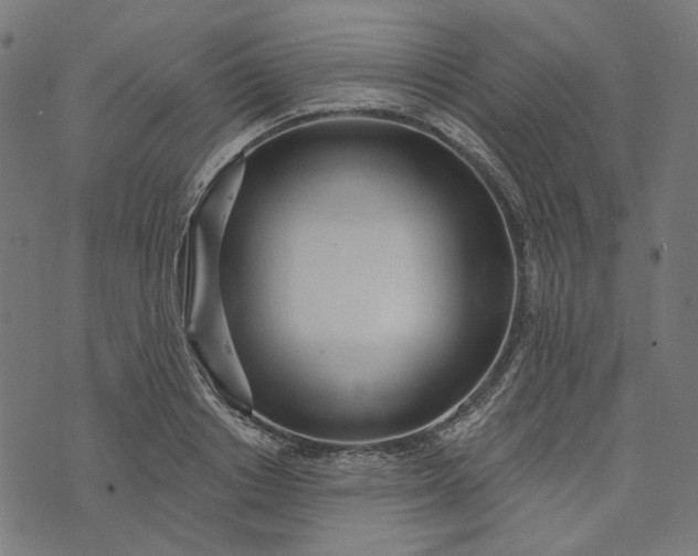 X0000073760842200608171354