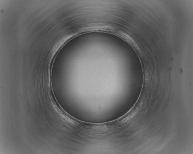 X0000073760844200608171354