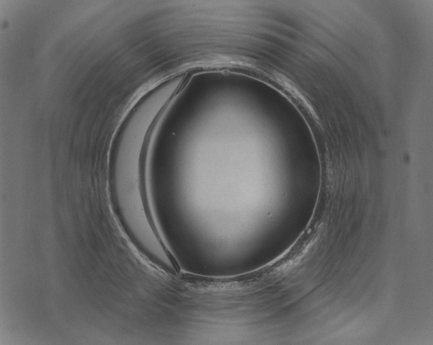 X0000073760845200608171354